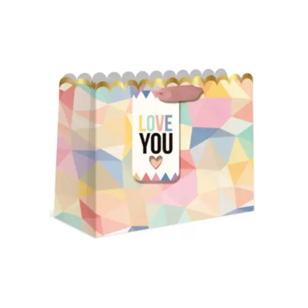 Premium Giftbag- Horizontal Colour Film Medium