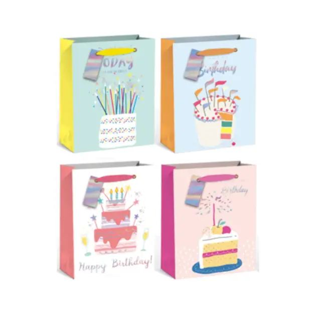 Premium Gift Bag Hot Stamp Large 4 assorted styles