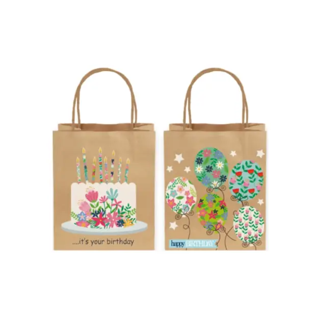 Premium Craft Gift Bag with Colour Printing Large 2 assorted styles