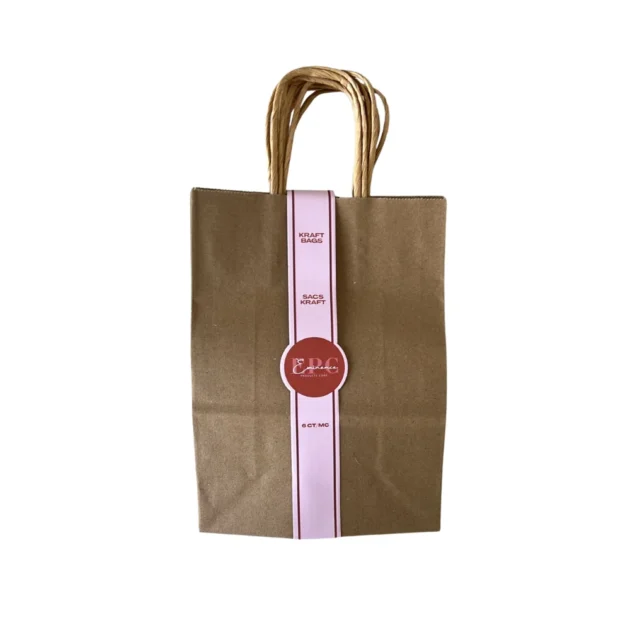 Kraft Bag Pack of 6 - Kraft Paper